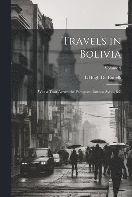 bokomslag Travels in Bolivia