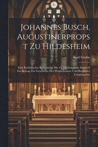 bokomslag Johannes Busch, Augustinerpropst Zu Hildesheim