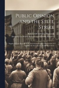 bokomslag Public Opinion and the Steel Strike