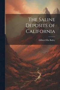 bokomslag The Saline Deposits of California