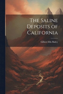 bokomslag Saline Deposits of California