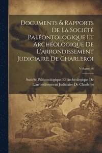 bokomslag Documents & Rapports De La Socit Palontologique Et Archologique De L'arrondissement Judiciaire De Charleroi; Volume 16