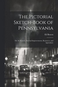 bokomslag The Pictorial Sketch-Book of Pennsylvania