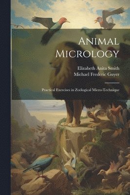 bokomslag Animal Micrology