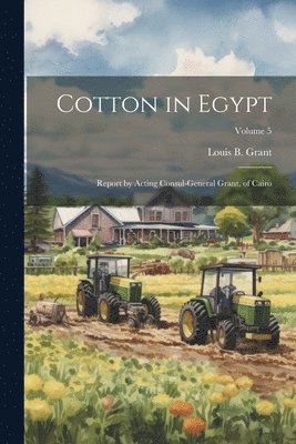 bokomslag Cotton in Egypt