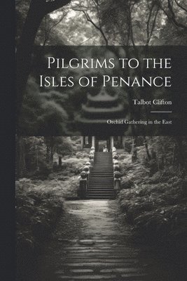 bokomslag Pilgrims to the Isles of Penance