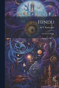 bokomslag Hindu