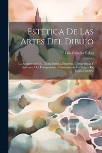 bokomslag Esttica De Las Artes Del Dibujo