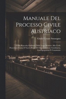 bokomslag Manuale Del Processo Civile Austriaco