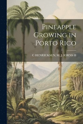 Pineapple Growing in Porto Rico 1