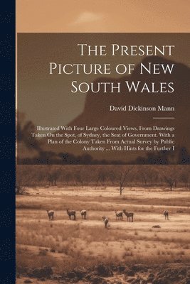 Present Picture of New South Wales