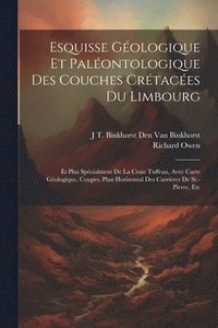 bokomslag Esquisse Gologique Et Palontologique Des Couches Crtaces Du Limbourg