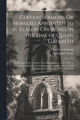 bokomslag Certain Sermons Or Homilies Appointed to Be Read in Churches in the Time of Queen Elizabeth