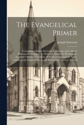 bokomslag Evangelical Primer