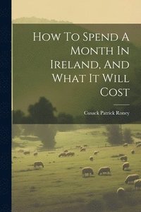 bokomslag How To Spend A Month In Ireland, And What It Will Cost