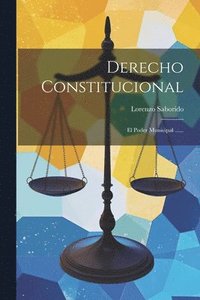 bokomslag Derecho Constitucional