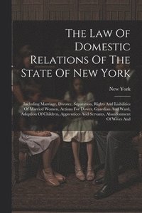 bokomslag The Law Of Domestic Relations Of The State Of New York