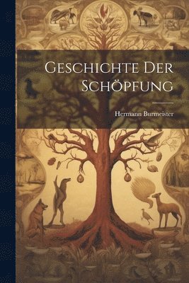 Hermann Burmeister - Geschichte der Schöpfung, Häftad