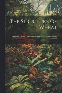 bokomslag The Structure Of Wheat