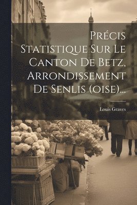 bokomslag Prcis Statistique Sur Le Canton De Betz, Arrondissement De Senlis (oise)...