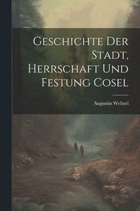 bokomslag Geschichte Der Stadt, Herrschaft Und Festung Cosel