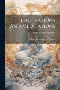 bokomslag Illustrations And Meditations