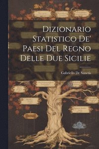 bokomslag Dizionario Statistico De' Paesi Del Regno Delle Due Sicilie