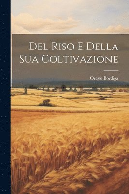 bokomslag Del Riso E Della Sua Coltivazione