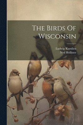 Birds Of Wisconsin
