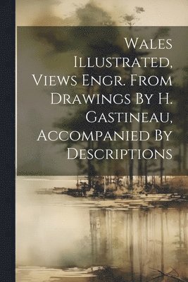 Anonymous - Wales Illustrated, Views Engr. From Drawings By H. Gastineau, Accompanied By Descriptions, Häftad