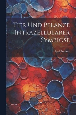 bokomslag Tier Und Pflanze Intrazellularer Symbiose