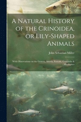 John Sebastian Miller - Natural History of the Crinoidea, or Lily-shaped Animals, Häftad