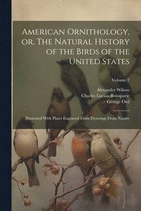 bokomslag American Ornithology, or, The Natural History of the Birds of the United States