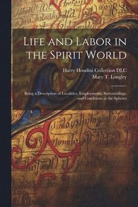 bokomslag Life and Labor in the Spirit World