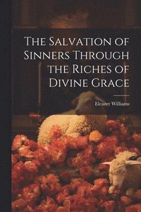 bokomslag The Salvation of Sinners Through the Riches of Divine Grace