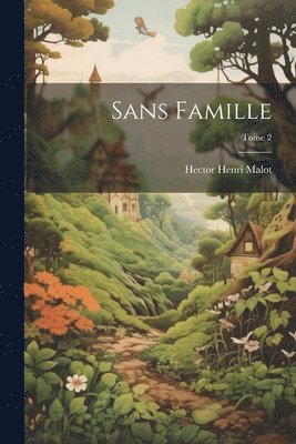 bokomslag Sans famille; Tome 2