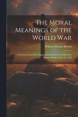 bokomslag Moral Meanings of the World War