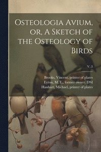 bokomslag Osteologia Avium, or, A Sketch of the Osteology of Birds; v. 3