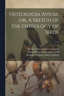 J Lithographer Erxleben, J. Lithographer Erxleben, T. C. (Thomas Campbell) Eyton, Thomas Campbell  Su Eyton - Osteologia Avium, or, A Sketch of the Osteology of Birds; v. 3, Häftad