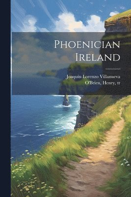 bokomslag Phoenician Ireland