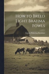 bokomslag How to Breed Light Brahma Fowls