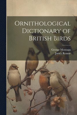 bokomslag Ornithological Dictionary of British Birds