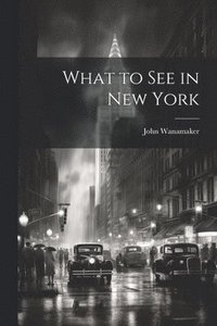bokomslag What to See in New York