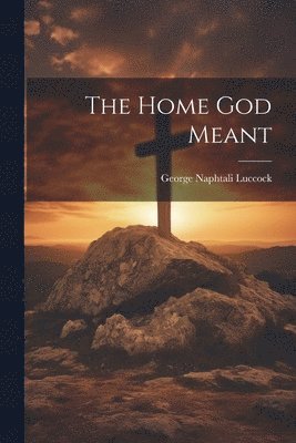 bokomslag The Home God Meant