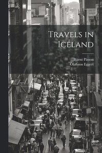 bokomslag Travels in Iceland