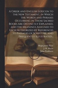 bokomslag A Greek and English Lexicon to the New Testament, in Which the Words and Phrases Occurring in Those Sacred Books Are Distinctly Explained, and the Meanings Assigned to Each Authorized by References