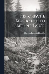 bokomslag Historische Bemerkungen ber die Tause.