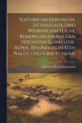 bokomslag Naturschilderungen, Sittenzuege und wissenschaftliche Bemerkungen aus den hchsten Schweizer-Alpen, besonders in Sd-wallis und Graubnden