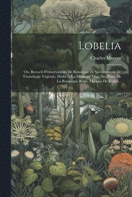 Lobelia 1