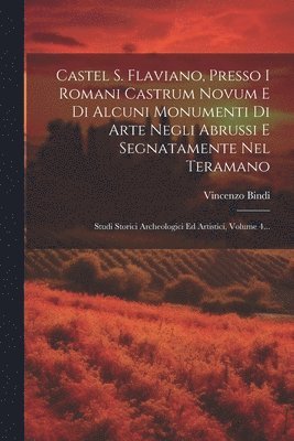 bokomslag Castel S. Flaviano, Presso I Romani Castrum Novum E Di Alcuni Monumenti Di Arte Negli Abrussi E Segnatamente Nel Teramano